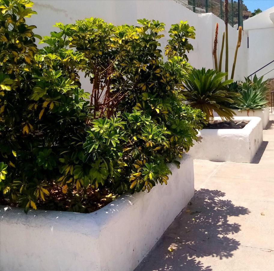 Most Sunny Days On Gran Canaria Пуерто-Ріко Екстер'єр фото