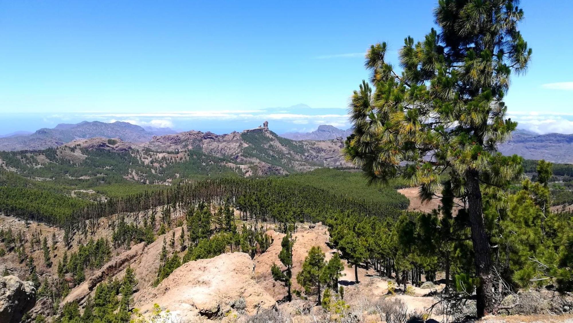 Most Sunny Days On Gran Canaria Пуерто-Ріко Екстер'єр фото